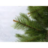 Триумф сосна TRIUMPH TREE, Русский север, 215 см, светло-зеленая 72171